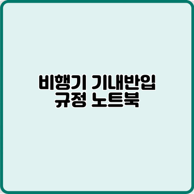 비행기 기내반입 규정: 노트북