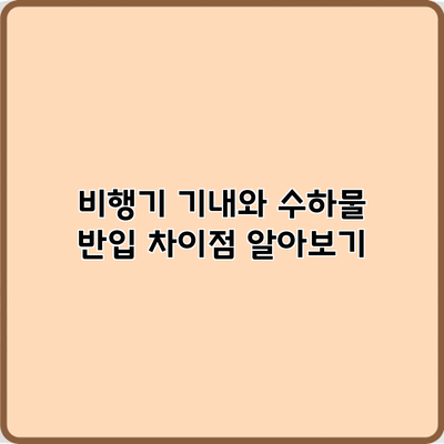 비행기 기내와 수하물 반입 차이점 알아보기