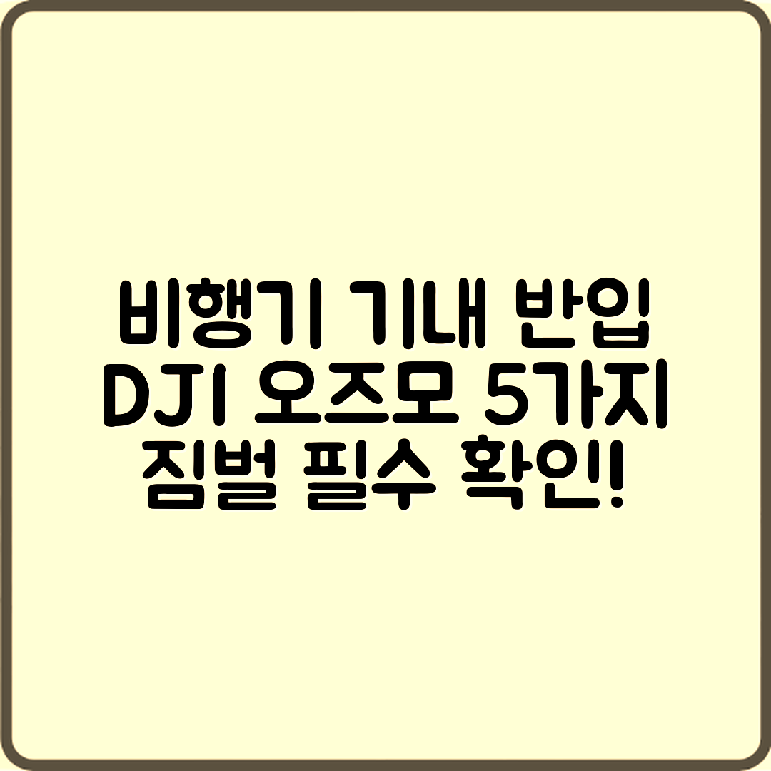 비행기 기내 반입, DJI 오즈모 짐벌 5가지 확인!