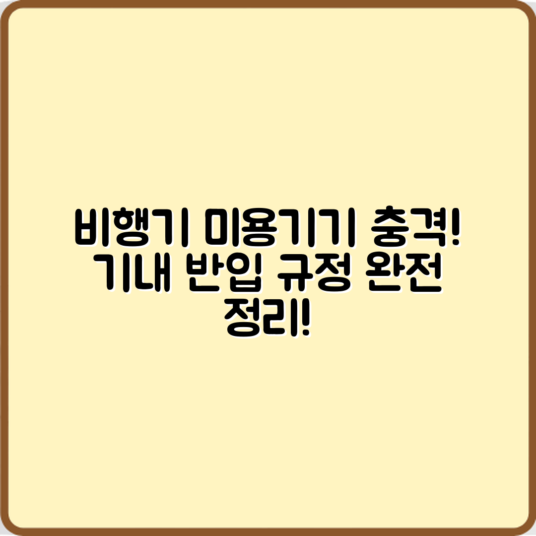 충격적인 비행기 기내 반입 미용기기 규정!