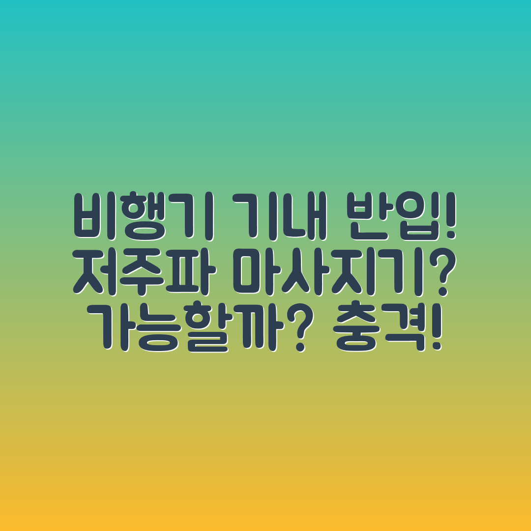 충격적인 비행기 기내 반입! 저주파 마사지기 가능할까?