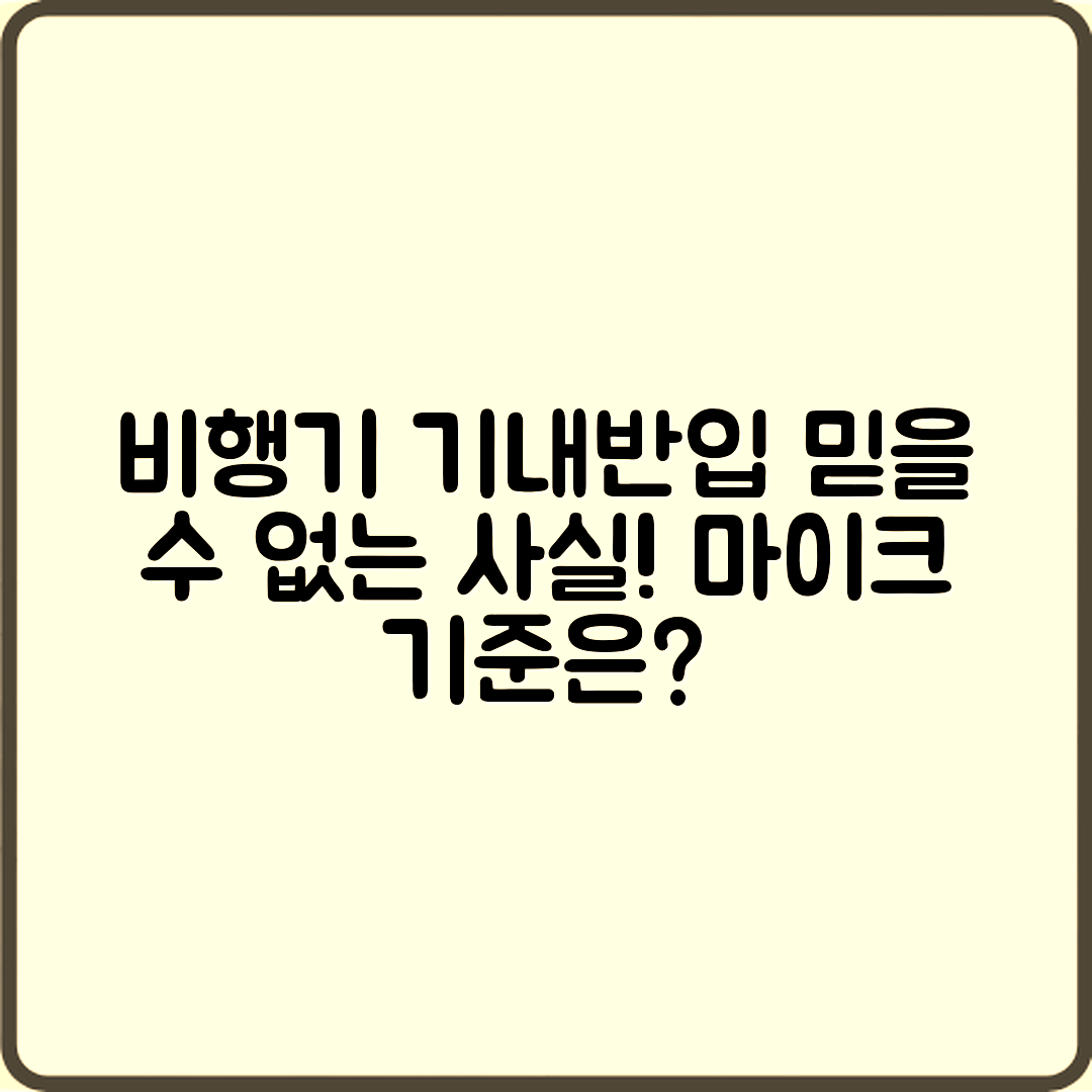 믿을 수 없는 사실! 비행기 기내 반입 마이크 기준