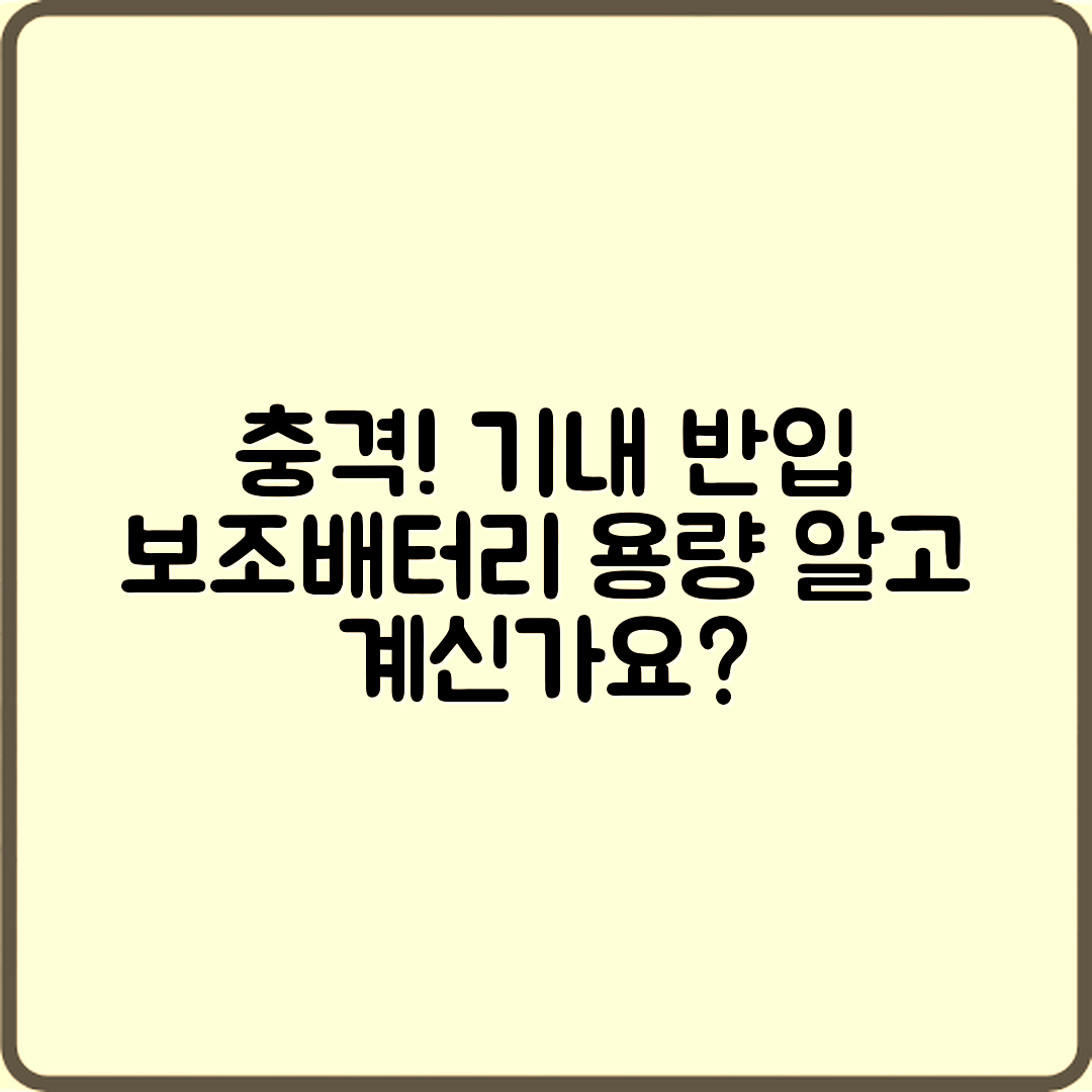 충격적인 비행기 기내 반입 보조배터리 용량!
