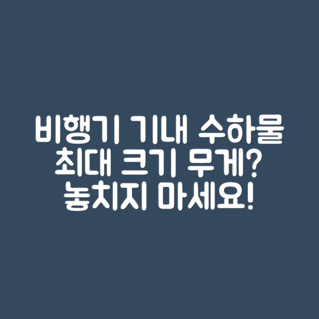 비행기 기내 수하물 최대 허용 크기와 무게는?