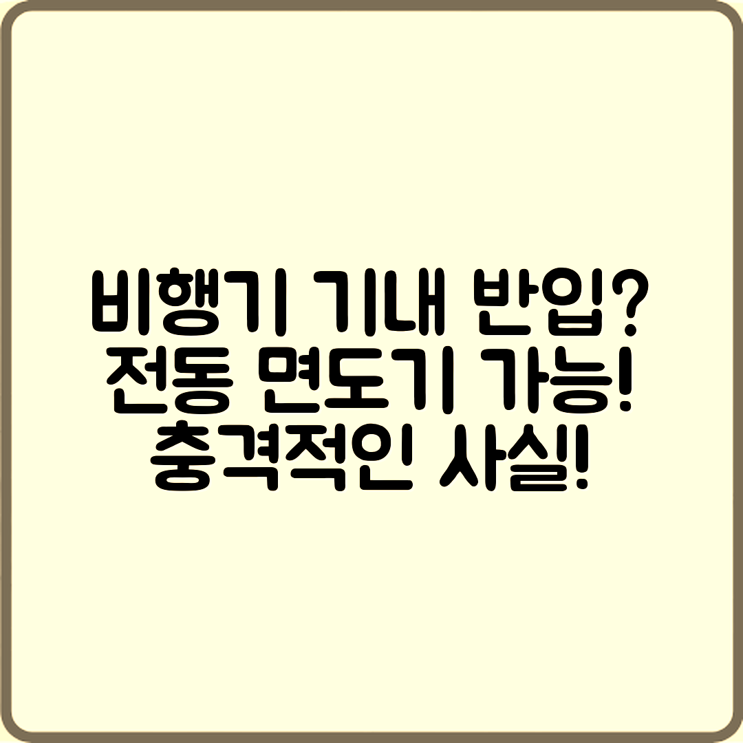 충격적인 사실! 비행기 기내 반입 전동 면도기 가능할까?