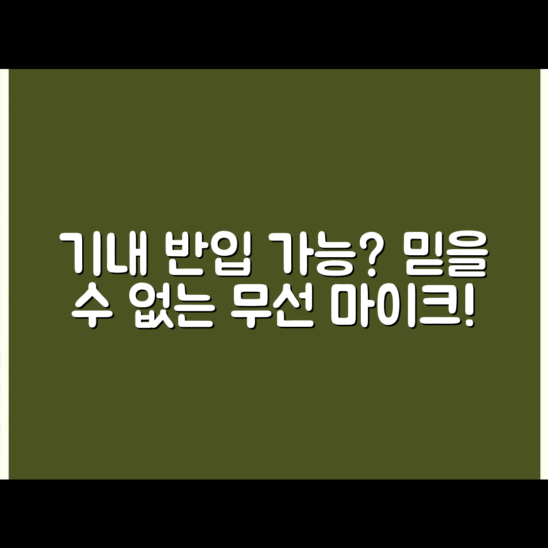 믿을 수 없는 기내 반입! 무선 마이크 가능할까?