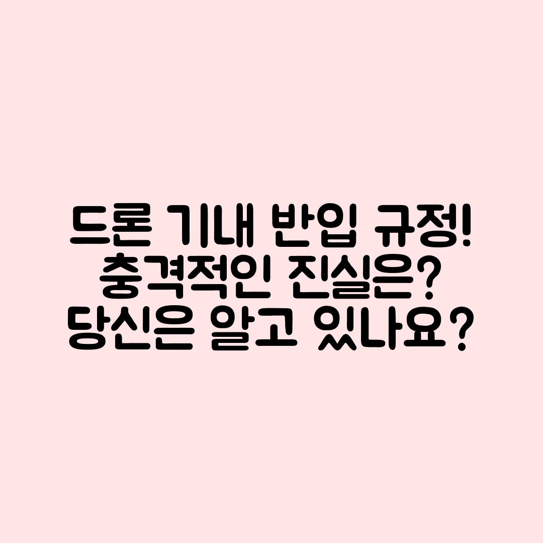 충격적인 드론 기내 반입 규정, 당신은 알고 있나요?