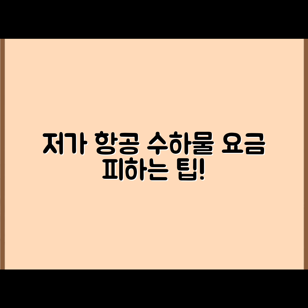저가항공 수하물 요금, 피하는 팁은?