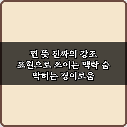 찐 뜻 진짜의 강조 표현으로 쓰이는 맥락, 5가지 완벽 가이드