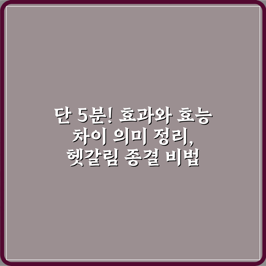 단 5분! 효과와 효능 차이 의미 정리, 헷갈림 종결 비법